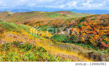 秋の栗駒山登山（産沼～東栗駒山） 126662661