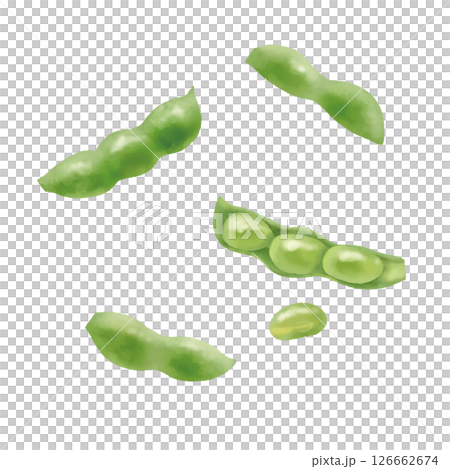 水彩風格:新鮮煮熟的毛豆,散裝,帶豆莢 水彩風格:新鮮煮熟的毛豆,散裝,帶豆莢 126662674