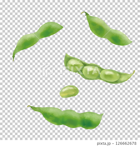 水彩 バラバラに置かれた新鮮な枝豆 水彩 バラバラに置かれた新鮮な枝豆 126662678