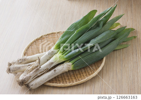 下仁田葱 下仁田葱 126663163