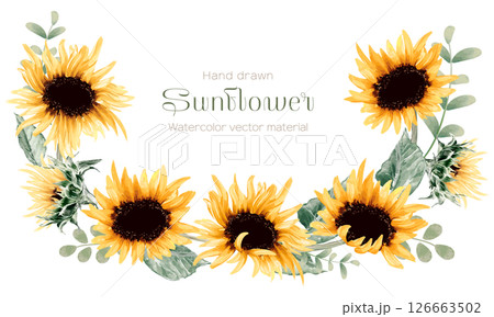水彩で描いた向日葵のフレーム 126663502