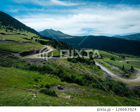 Aerial view of beautiful high altitude forest grassland mountain landscape Aerial view of beautiful high altitude forest grassland mountain landscape 126663924