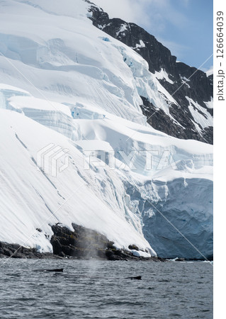 Snow and ice in Antarctica Snow and ice in Antarctica 126664039