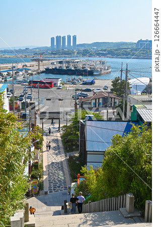 【韓国/浦項市】九龍浦日本人家屋通り　高台から見た風景 126664447