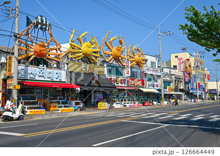 【韓国/浦項市】九龍浦港周辺の飲食店街 【韓国/浦項市】九龍浦港周辺の飲食店街 126664449