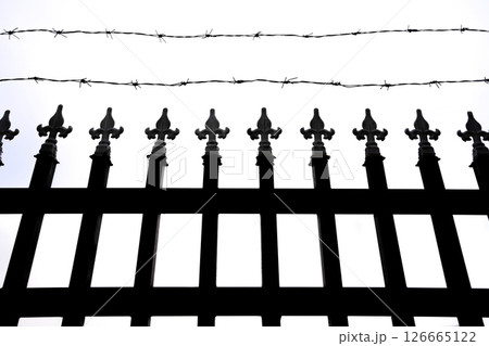 fence and barbed wire on white background fence and barbed wire on white background 126665122