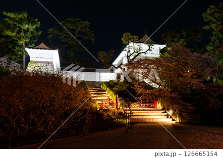 夜中の小田原城 126665154