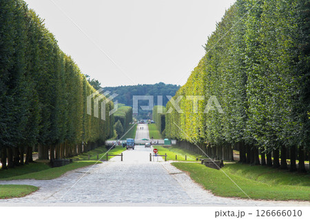 フランス パリ ベルサイユ宮殿 庭園 フランス パリ ベルサイユ宮殿 庭園 126666010