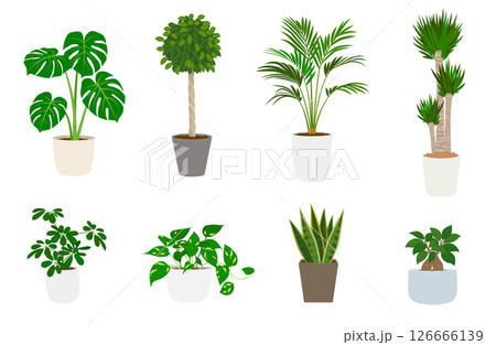 観葉植物のセット 126666139