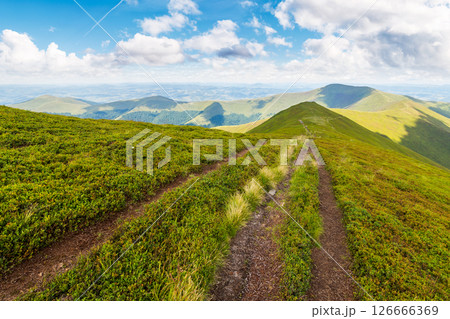 trail through carpathian mountain range in summer. alpine landscape with path and steep grassy slopes on a sunny day in dappled light. fluffy clouds above horizon on a blue sky trail through carpathian mountain range in summer. alpine landscape with path and steep grassy slopes on a sunny day in dappled light. fluffy clouds above horizon on a blue sky 126666369