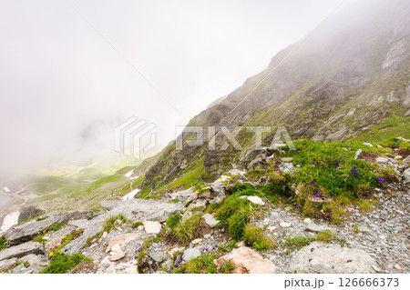 steep slope of fagaras ridge. outdoor adventure. mountain landscape of romania in summer. distant valley in clouds. alpine environment steep slope of fagaras ridge. outdoor adventure. mountain landscape of romania in summer. distant valley in clouds. alpine environment 126666373