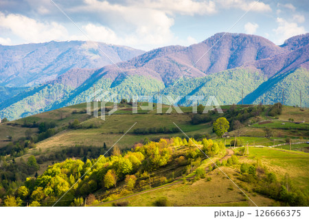 countryside landscape in spring. forested carpathian mountains with grassy rolling hills in evening light. village outskirts in transcarpathia region. blue sky with clouds 126666375