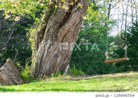木曽馬の里のブランコ 木曽馬の里のブランコ 126666569