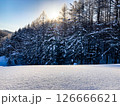 真冬の雪原 126666621
