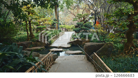 Chengdu, Sichuan, China. Walk Garden Area Of Wuhou Memorial Temple. Seniors Travel And Adventure. Green Foliage Bushes. Silence And Peace. Stream Flowing Chengdu, Sichuan, China. Walk Garden Area Of Wuhou Memorial Temple. Seniors Travel And Adventure. Green Foliage Bushes. Silence And Peace. Stream Flowing 126666683