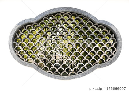 鳥取県 燕趙園 塀に施されている曲線を組み合わせた模様の窓  奥に竹林が見える 126666907