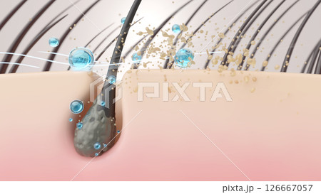 シャンプー成分が皮脂を洗い流し毛穴を清潔にする頭皮 126667057