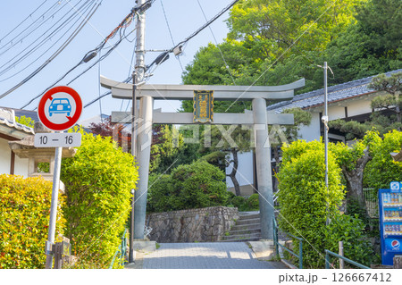清荒神参道 126667412