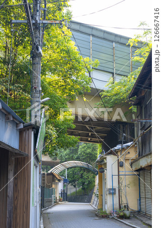 清荒神参道 126667416