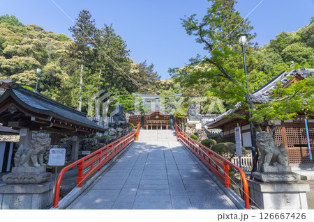 清荒神清澄寺　拝殿 126667426