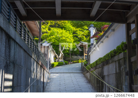 清荒神清澄寺　廻廊下 126667448
