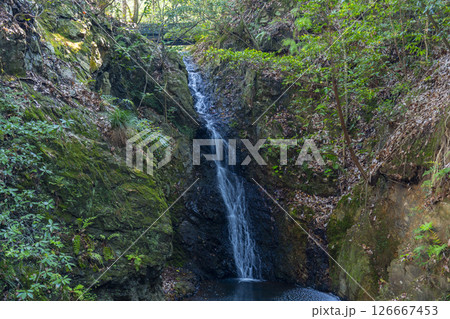 清荒神清澄寺 龍王滝・不動明王 清荒神清澄寺 龍王滝・不動明王 126667453