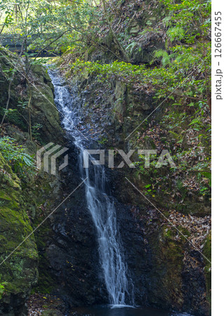 清荒神清澄寺　龍王滝・不動明王 126667455