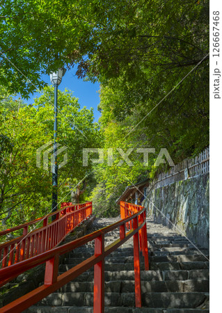清荒神清澄寺　宝稲荷社 126667468