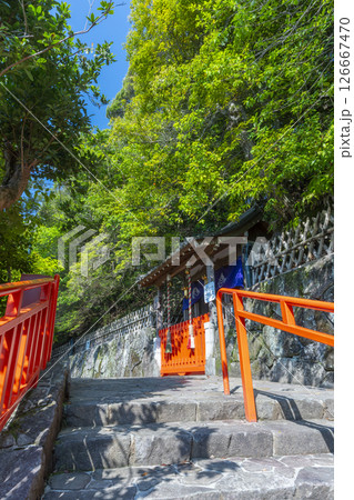 清荒神清澄寺 宝稲荷社 清荒神清澄寺 宝稲荷社 126667470