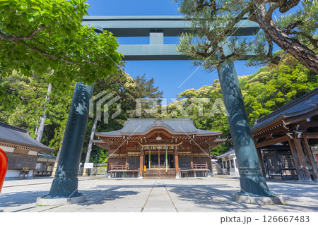 清荒神清澄寺　拝殿 126667483
