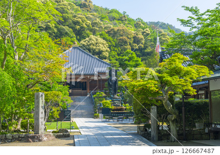 清荒神清澄寺　本堂 126667487