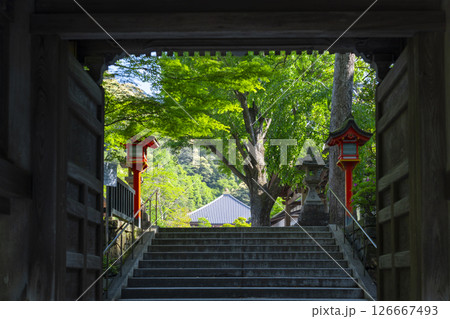 清荒神清澄寺　山門 126667493