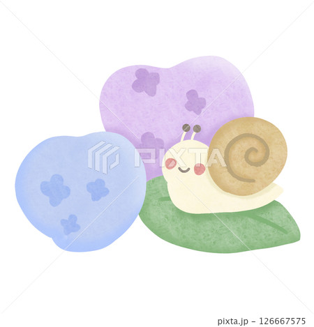 紫陽花とカタツムリ 主線なし 126667575