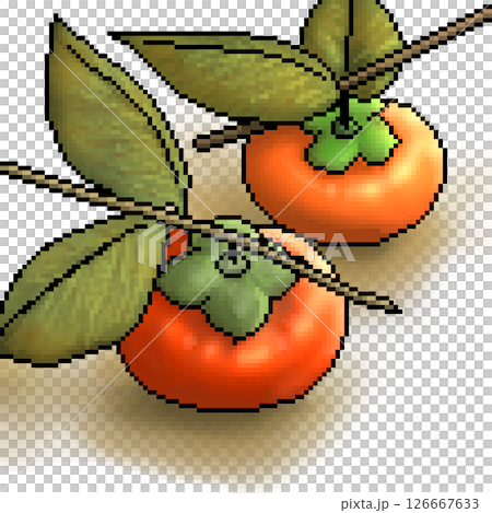 Persimmon on a branch Persimmon on a branch 126667633