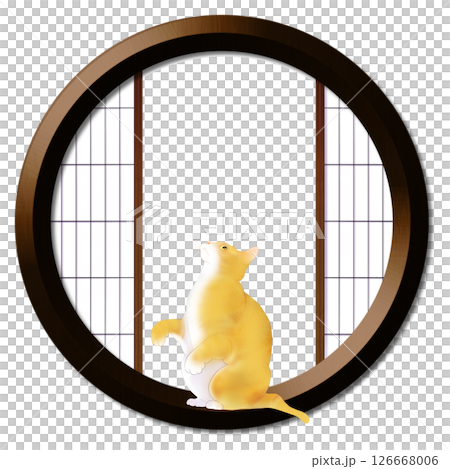 Round window and cat Round window and cat 126668006