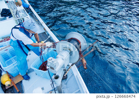 本命のイセエビが穫れた。 伊勢海老の刺し網漁に同船した。 伊豆半島賀茂郡南伊豆町中木ヒリゾ浜2024 本命のイセエビが穫れた。 伊勢海老の刺し網漁に同船した。 伊豆半島賀茂郡南伊豆町中木ヒリゾ浜2024 126668474