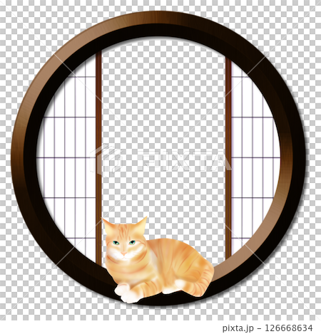 Round window and cat 126668634