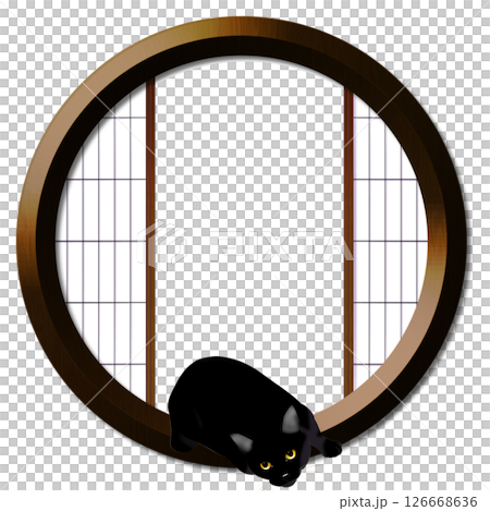 Round window and cat 126668636
