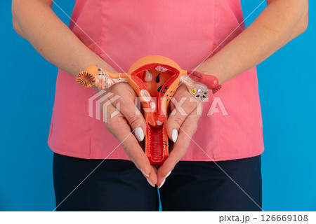 doctor gynecologist with model of female reproductive system 126669108