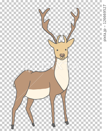 A deer A deer 126669527