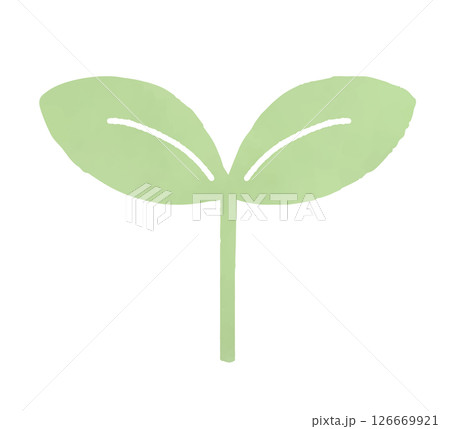 若葉の水彩イラスト 126669921