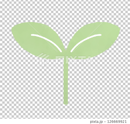 嫩葉的水彩插圖 嫩葉的水彩插圖 126669921