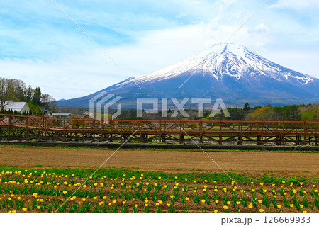 山中湖 花の都公園の景色 山中湖 花の都公園の景色 126669933