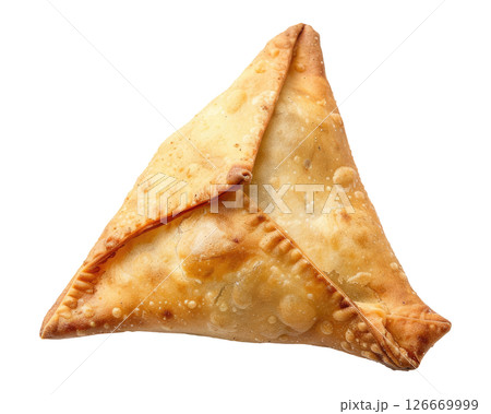 Samosa 126669999