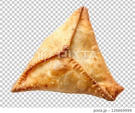 Samosa 126669999