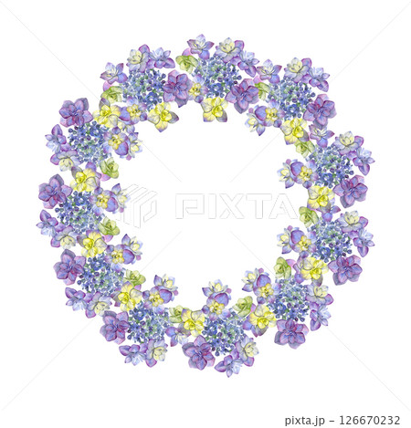 Hydrangea wreath. Watercolor of summer flowers isolated on a white background. Good for postcards, invitations, greeting cards Hydrangea wreath. Watercolor of summer flowers isolated on a white background. Good for postcards, invitations, greeting cards 126670232