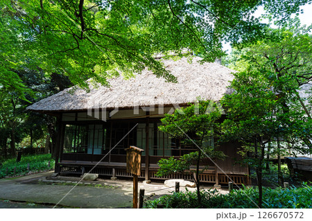蘆花恒春園の梅家書屋　春の青空　東京都世田谷区粕谷1丁目 126670572
