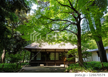 蘆花恒春園の梅家書屋を眺める 春の青空 東京都世田谷区粕谷1丁目 蘆花恒春園の梅家書屋を眺める 春の青空 東京都世田谷区粕谷1丁目 126670574