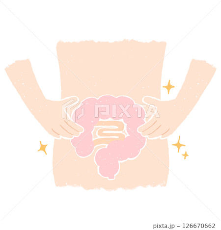 お腹の中のきれいな腸 126670662