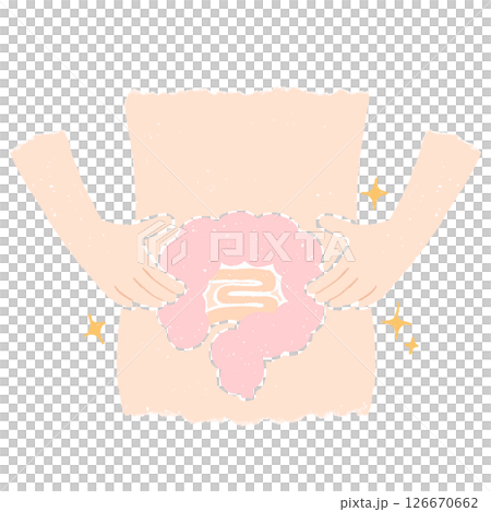 お腹の中のきれいな腸 126670662